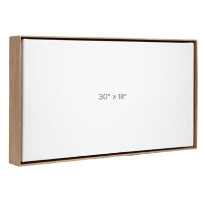 30 x 18" Floater Frame - Walnut - 1.5" depth